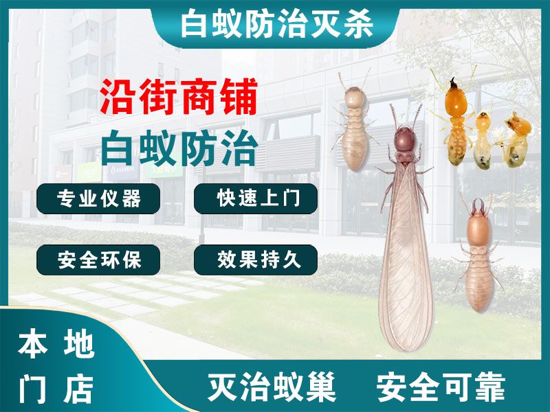 台州沿街商铺白蚁防治