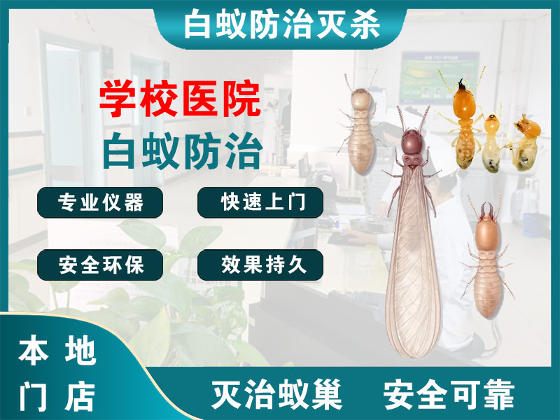台州学校医院白蚁防治