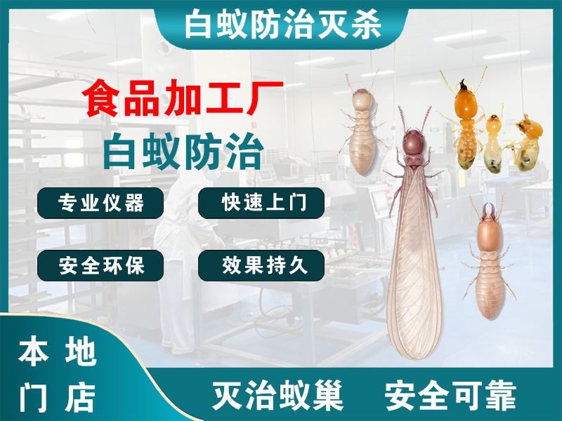 台州食品加工厂白蚁防治