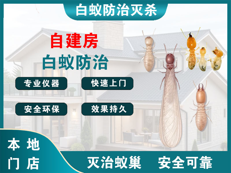 台州自建房白蚁防治
