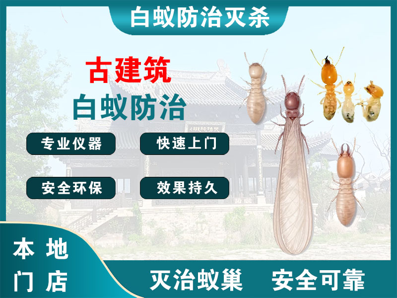台州古建筑白蚁防治