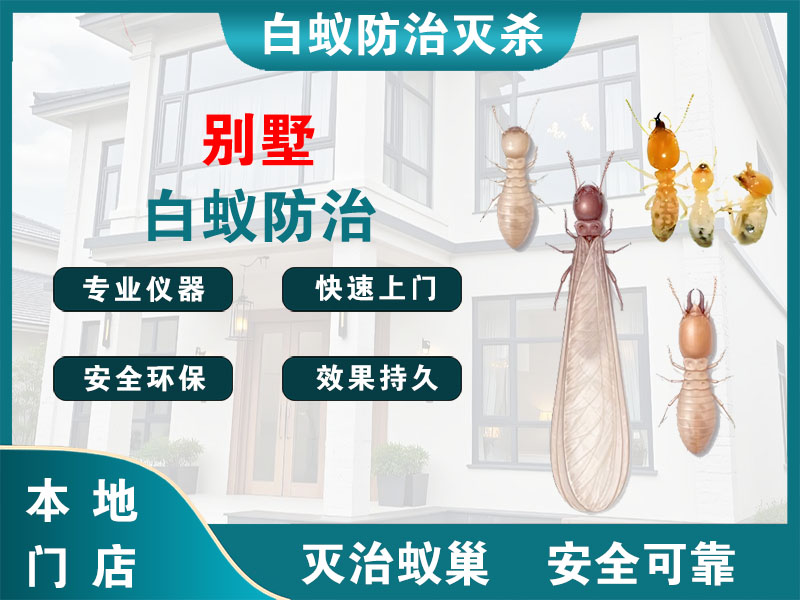 台州别墅白蚁防治