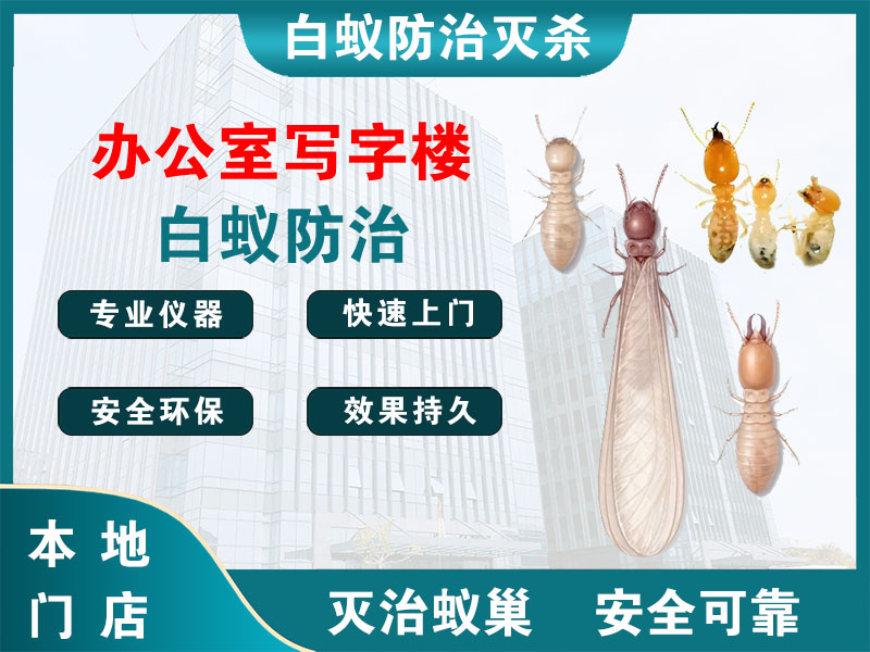 台州办公室写字楼白蚁防治
