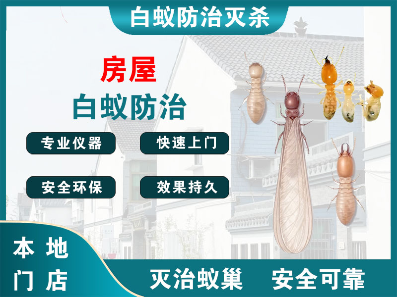 台州房屋白蚁防治